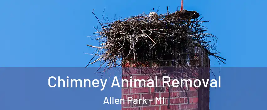  Chimney Animal Removal Allen Park - MI