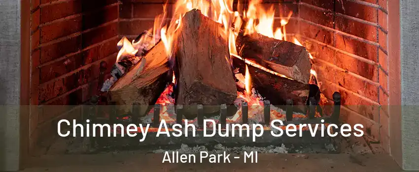  Chimney Ash Dump Services Allen Park - MI