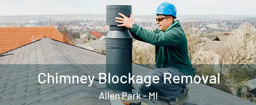  Chimney Blockage Removal Allen Park - MI