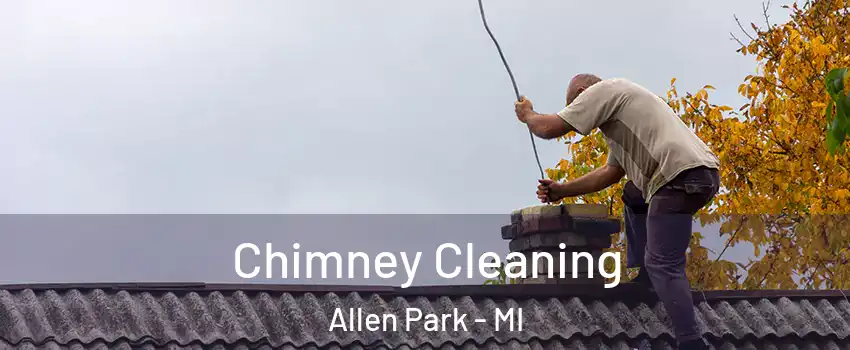  Chimney Cleaning Allen Park - MI