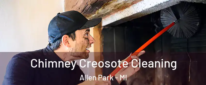  Chimney Creosote Cleaning Allen Park - MI