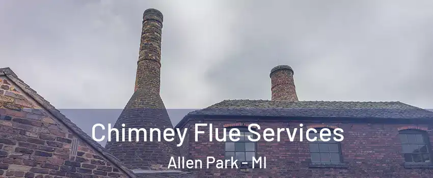  Chimney Flue Services Allen Park - MI