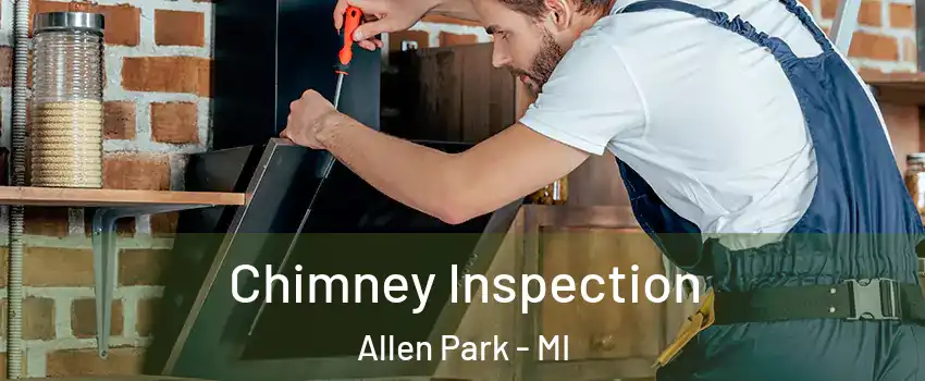  Chimney Inspection Allen Park - MI
