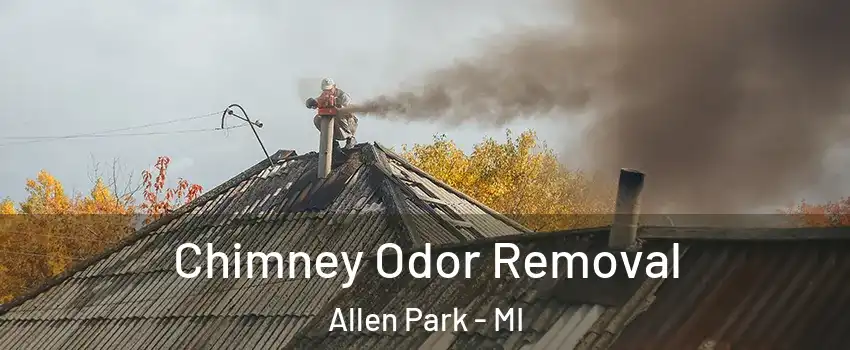  Chimney Odor Removal Allen Park - MI