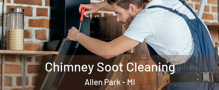  Chimney Soot Cleaning Allen Park - MI