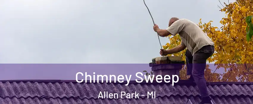  Chimney Sweep Allen Park - MI