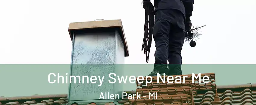  Chimney Sweep Near Me Allen Park - MI