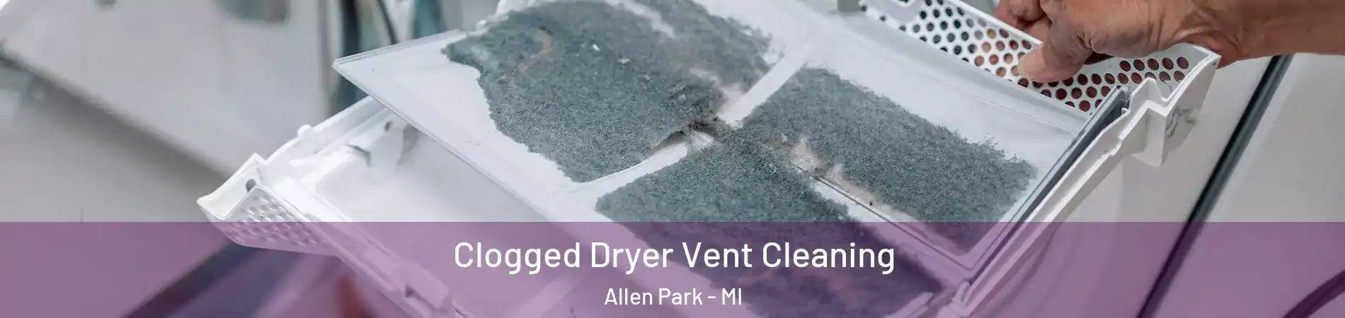  Clogged Dryer Vent Cleaning Allen Park - MI