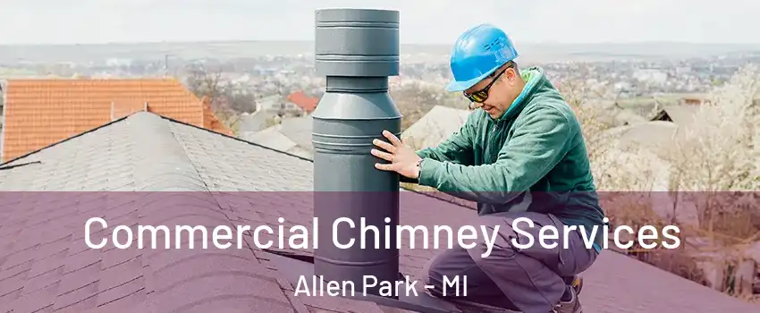  Commercial Chimney Services Allen Park - MI
