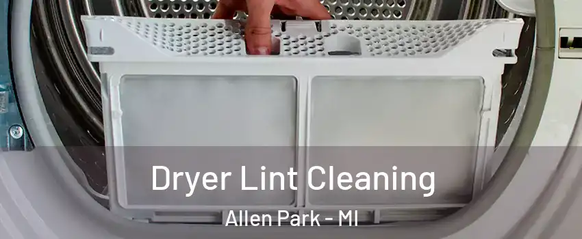  Dryer Lint Cleaning Allen Park - MI