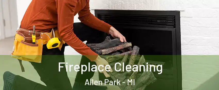  Fireplace Cleaning Allen Park - MI