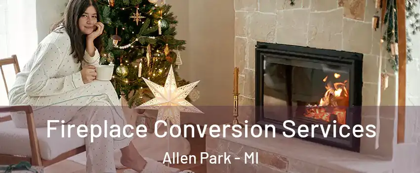 Fireplace Conversion Services Allen Park - MI