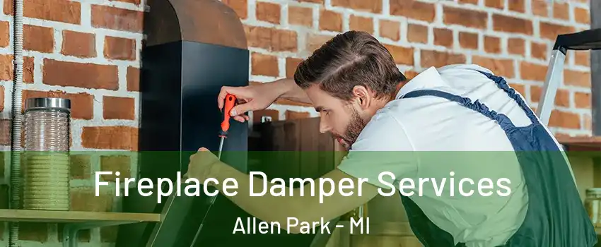  Fireplace Damper Services Allen Park - MI
