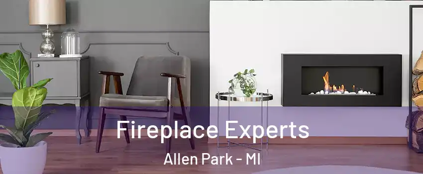  Fireplace Experts Allen Park - MI