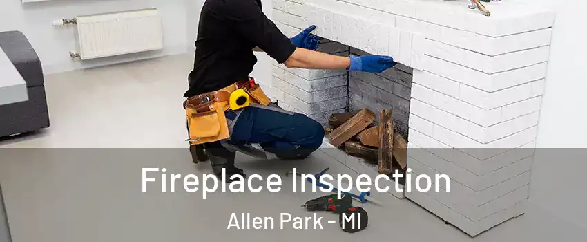  Fireplace Inspection Allen Park - MI