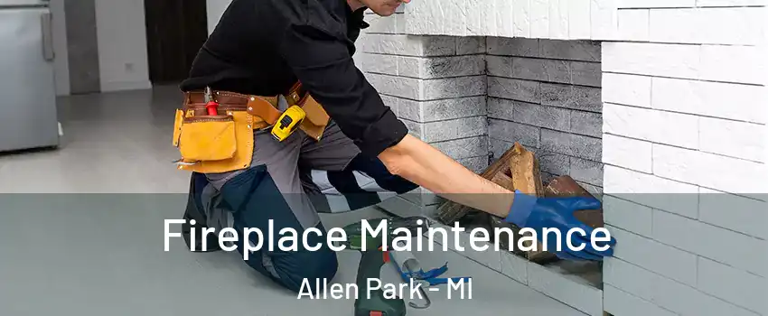  Fireplace Maintenance Allen Park - MI