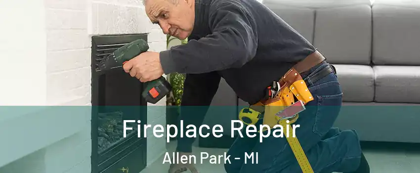  Fireplace Repair Allen Park - MI