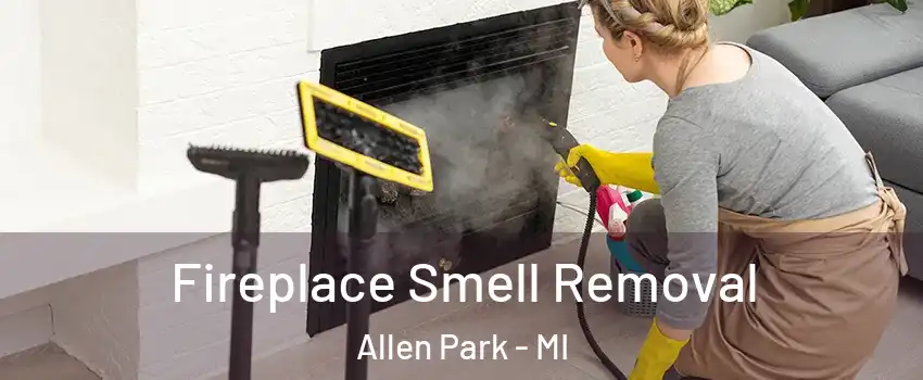 Fireplace Smell Removal Allen Park - MI