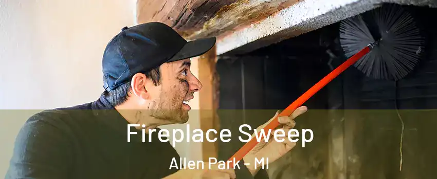  Fireplace Sweep Allen Park - MI