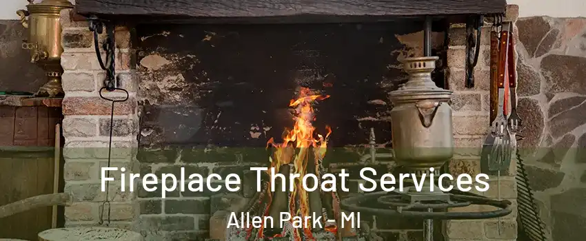  Fireplace Throat Services Allen Park - MI