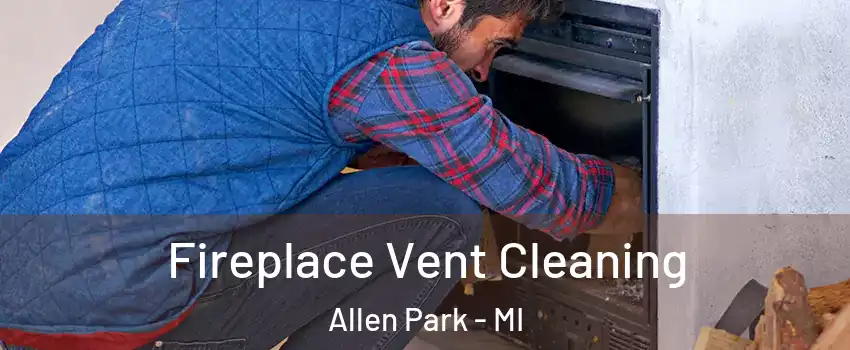  Fireplace Vent Cleaning Allen Park - MI