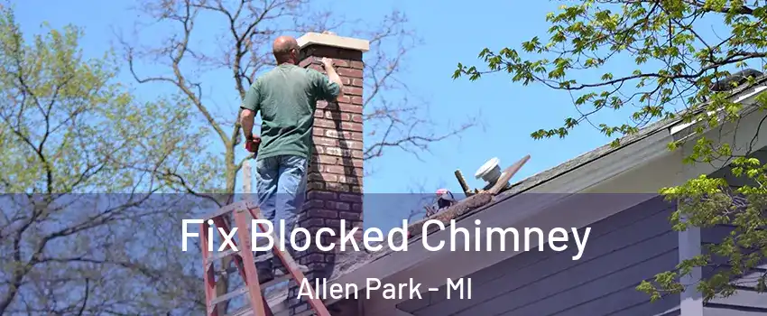  Fix Blocked Chimney Allen Park - MI