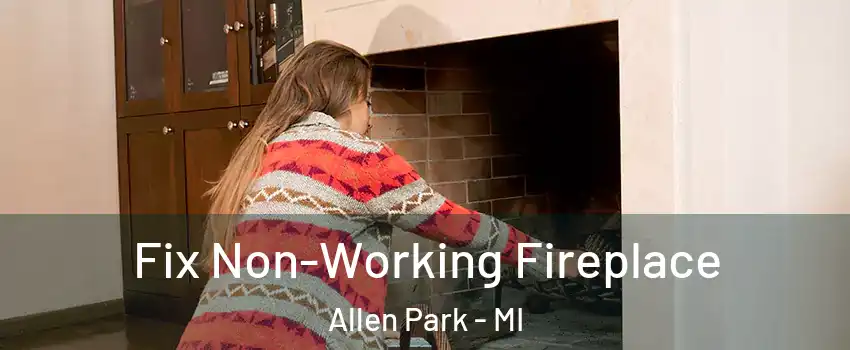  Fix Non-Working Fireplace Allen Park - MI