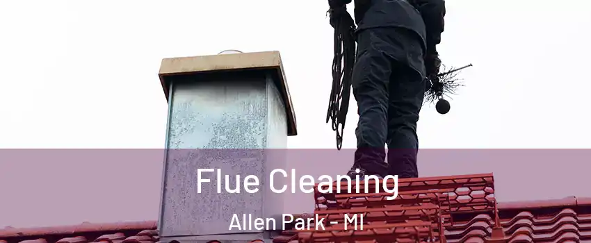  Flue Cleaning Allen Park - MI