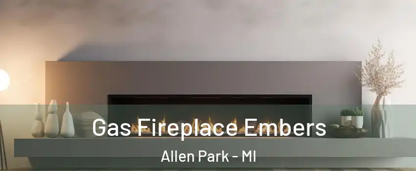  Gas Fireplace Embers Allen Park - MI