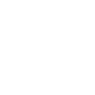 Professional Chimney Flue Installation in Allen Park, Michigan