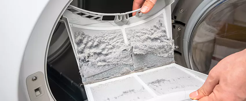 Best Dryer Lint Removal Company in Allen Park, Michigan