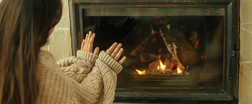 Wood-burning Fireplace Smell Removal Services in Allen Park, MI