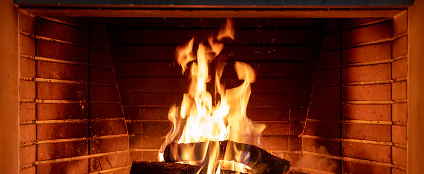 Soot Cleanup Services in Allen Park, MI