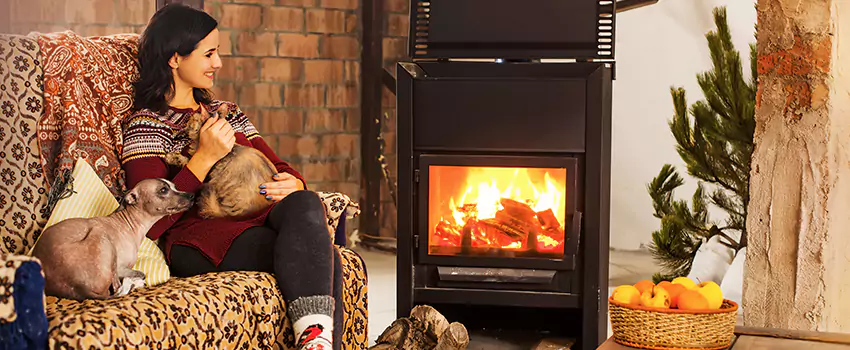 Wood Stove Chimney Cleaning Services in Allen Park, MI