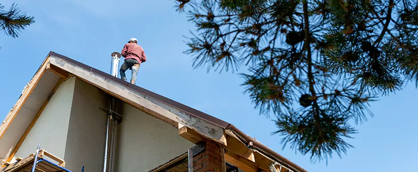 Birds Removal Contractors from Chimney in Allen Park, MI