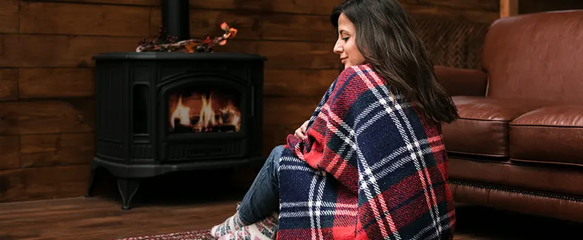 Fireplace Firebox Grate Replacement Services  in Allen Park, Michigan