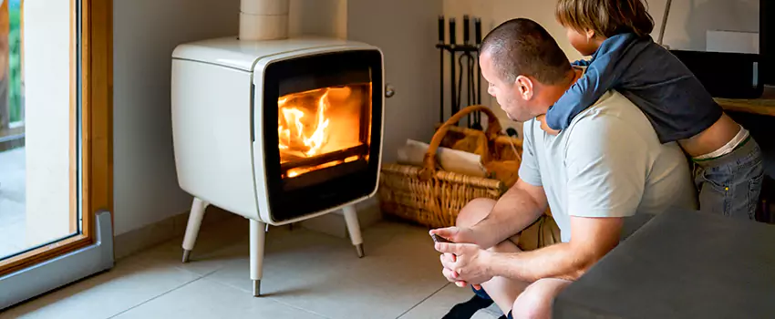 Fireplace Flue Maintenance Services in Allen Park, MI