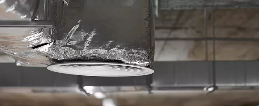 Signs of Dust Accumulation in Vents in Allen Park, MI