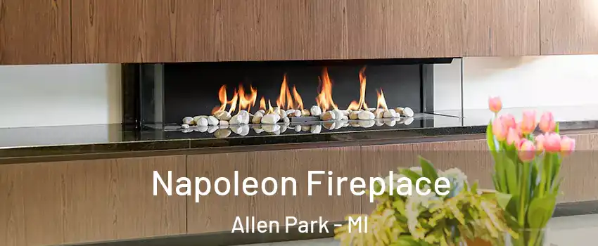  Napoleon Fireplace Allen Park - MI
