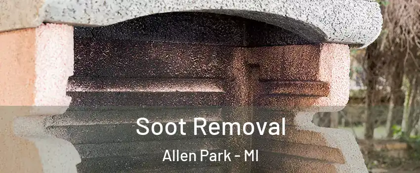  Soot Removal Allen Park - MI