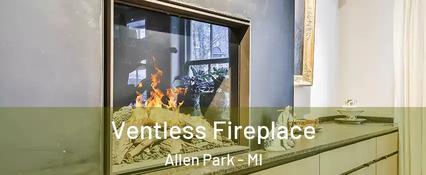  Ventless Fireplace Allen Park - MI