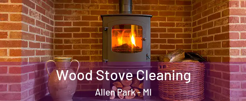  Wood Stove Cleaning Allen Park - MI